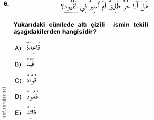 Soru 6