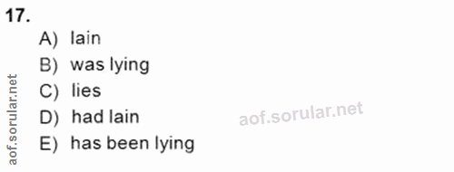 Soru 17