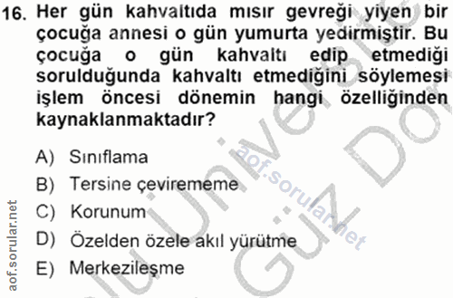 Soru 16