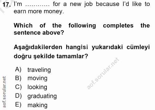 Soru 17