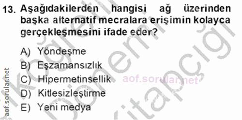 Soru 13