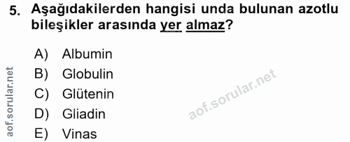 Soru 5