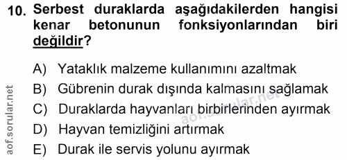 Soru 10