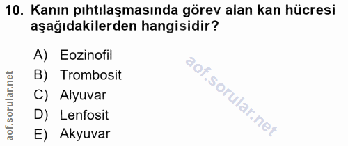 Soru 10