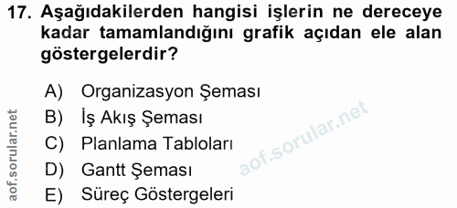 Soru 17