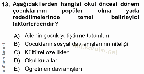Soru 13