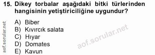 Soru 15