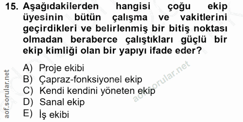 Soru 15