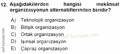 Soru 12