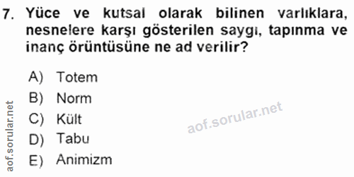 Soru 7