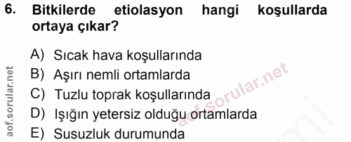 Soru 6