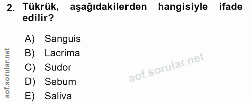Soru 2