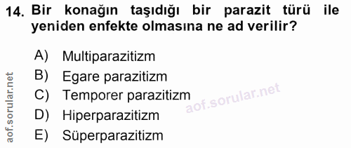 Soru 14