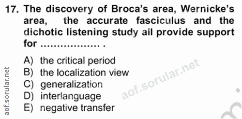 Soru 17