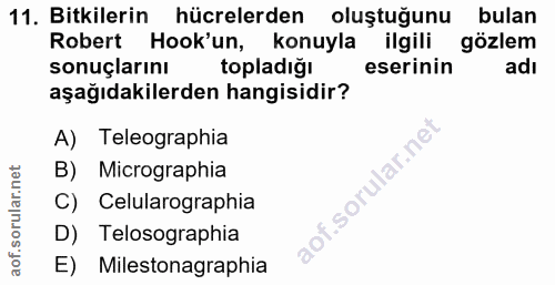 Soru 11
