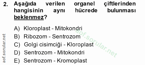 Soru 2