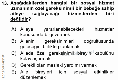 Soru 13