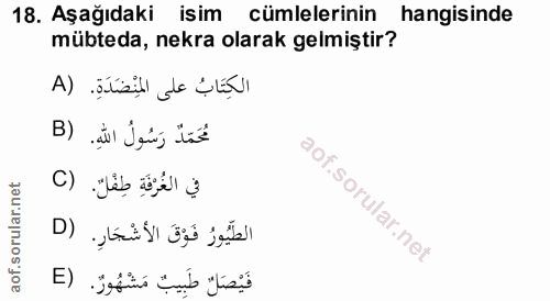 Soru 18