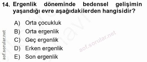 Soru 14