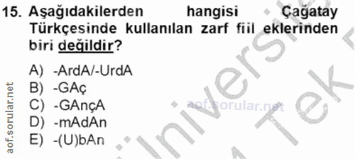 Soru 15