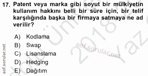 Soru 17