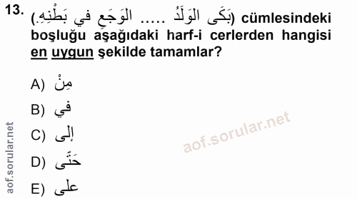 Soru 13