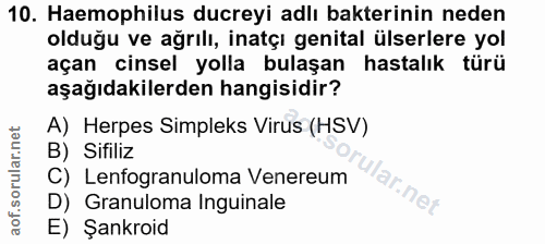 Soru 10