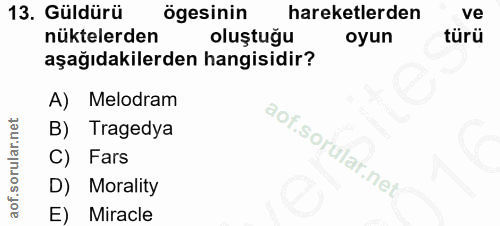 Soru 13