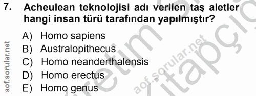 Soru 7