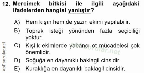 Soru 12