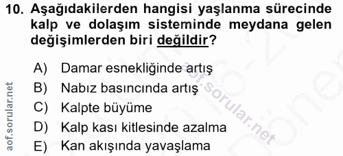 Soru 10