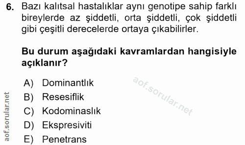 Soru 6