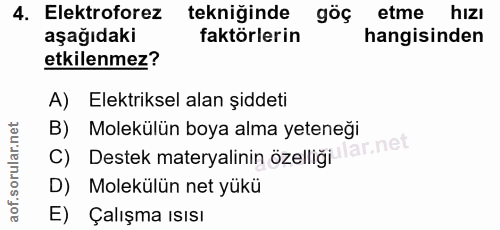 Soru 4