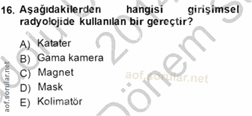 Soru 16