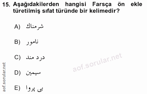 Soru 15