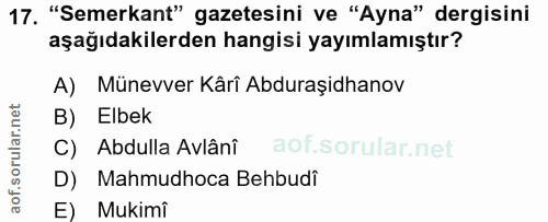 Soru 17