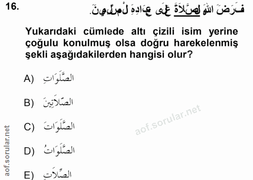Soru 16