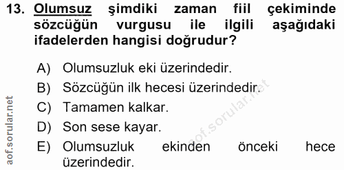 Soru 13