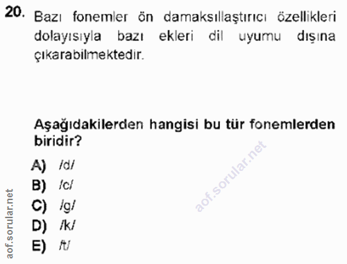 Soru 20