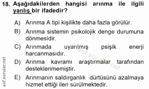 Soru 18