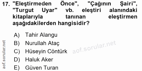 Soru 17