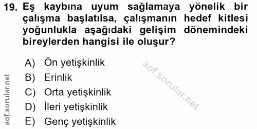 Soru 19