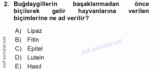 Soru 2
