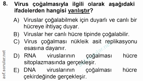 Soru 8