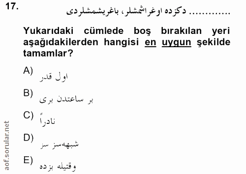 Soru 17