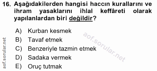 Soru 16