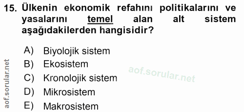 Soru 15