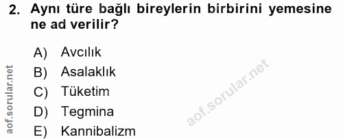 Soru 2