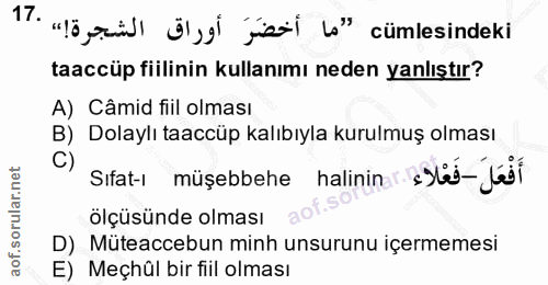 Soru 17