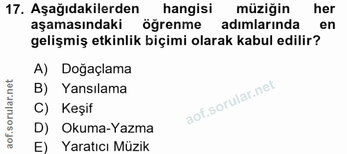 Soru 17